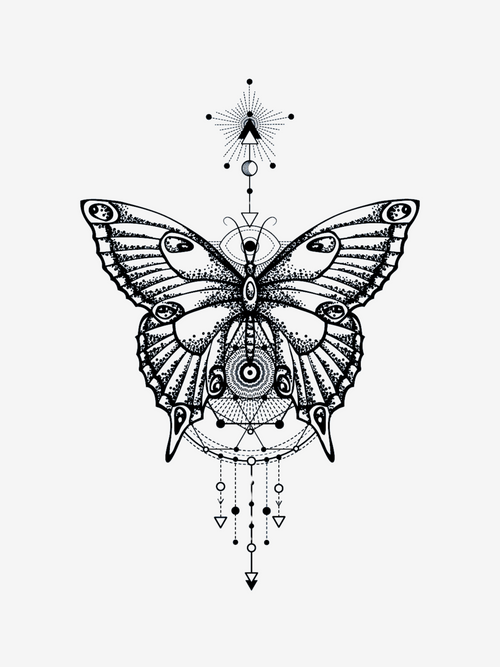 Geometric Butterfly