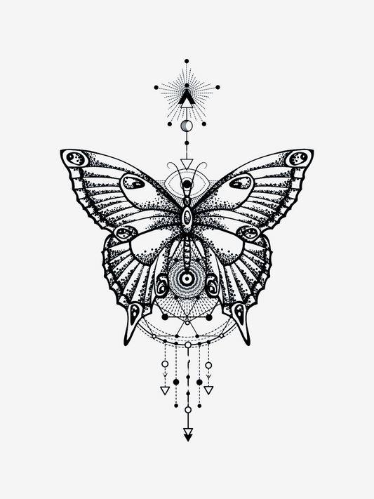 Geometric Butterfly